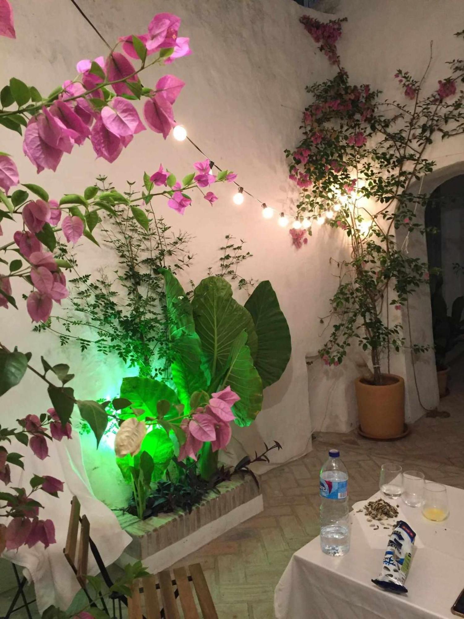 ベヘール・デ・ラ・フロンテーラ Antiqua Centro De Vejer Con Wifi Grupo Ac Gestionヴィラ エクステリア 写真